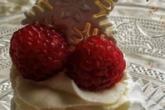 FB_IMG_1608962131951