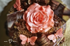 IMG_20200309_120734-01