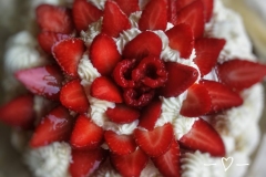 IMG_20200316_103151-01