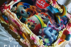 IMG_20200802_104249-01